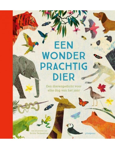 Een wonderprachtig dier