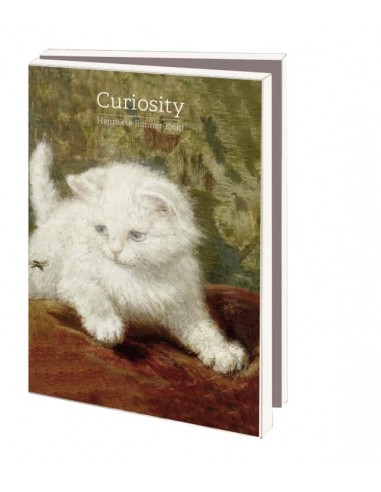Curiosity, Henriëtte Ronner-Knip