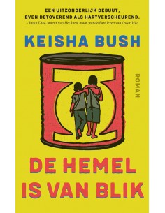 De hemel is van blik