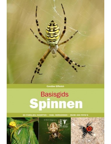 Basisgids Spinnen