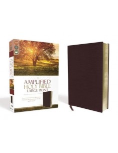 Amplified Bible