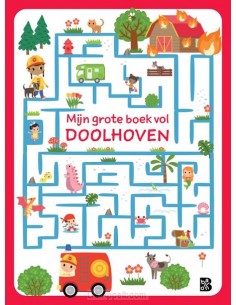Mijn grote boek vol doolhoven