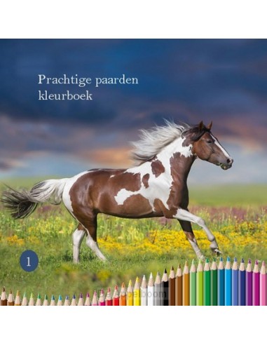 Prachtige paarden kleurboek 1