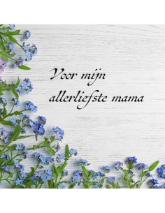 Voor mijn allerliefste mama...