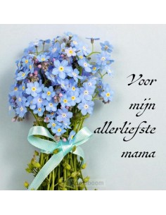 Voor mijn allerliefste mama...