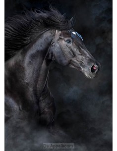 Notitieboek thijs +...