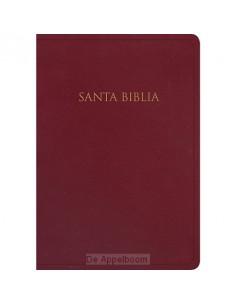 RVR1960 -  Biblia Gift & Award