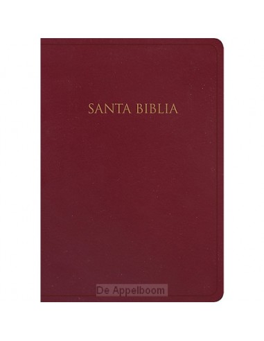 RVR1960 -  Biblia Gift & Award