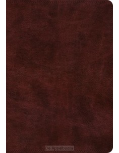 ESV - Super Giant Print Bible