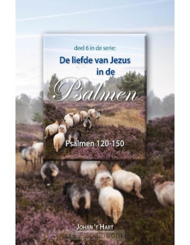 Liefde van Jezus in de psalmen 120-150