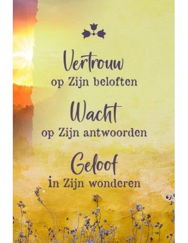 Vertrouw op Zijn beloften