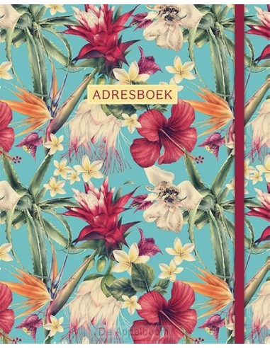 Adresboek