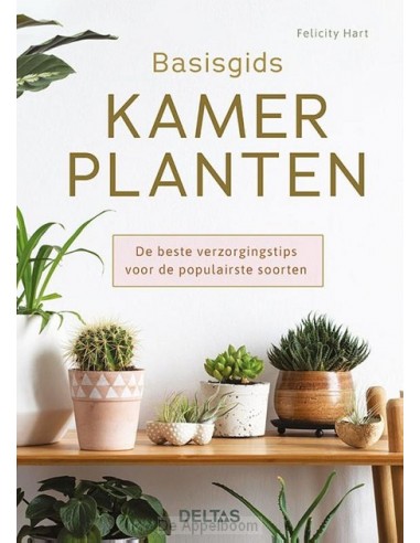 Basisgids kamerplanten