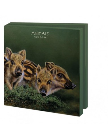 Animals, Hans Bulder