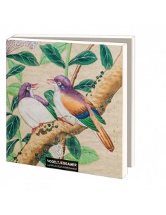 Vogeltjeskamer, Landhuis...