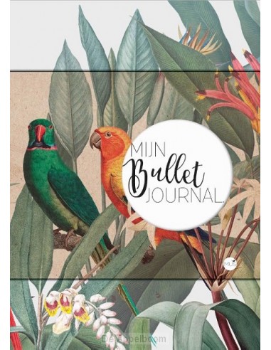 Mijn bullet journal papegaai