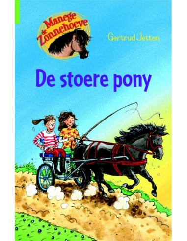 Stoere pony