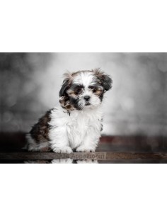 Teken-plak- en schrijfboek...