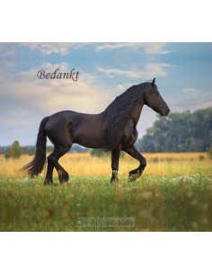 Notitieboek adelheid bedankt