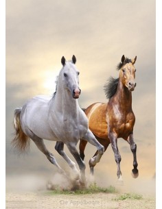 Notitieboek chief & lady