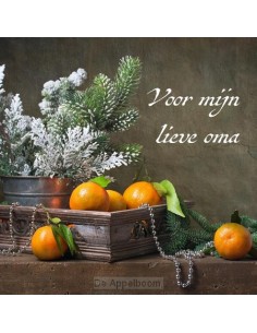 Notitieboek hanna voor mijn...