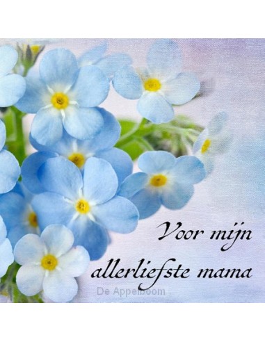 Notitieboek louise allerliefste mama