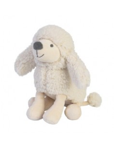 Poodle Peter