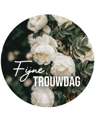 Fijne Trouwdag