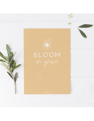 Bloom in grace