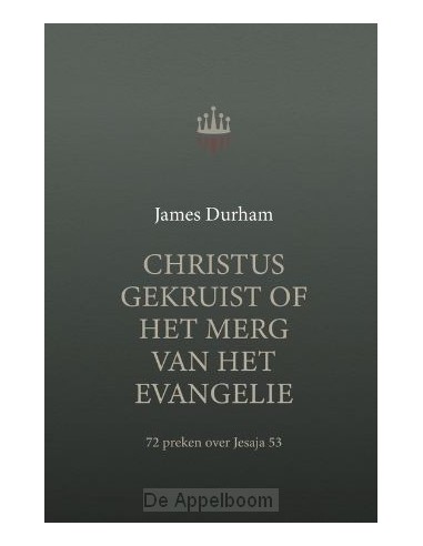 Christus gekruist of het merg van het ev