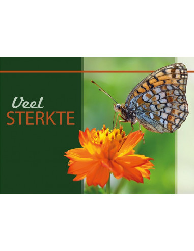 Veel sterkte