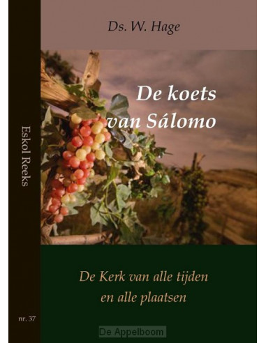 Koets van salomo