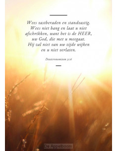 Wees vastberaden en...