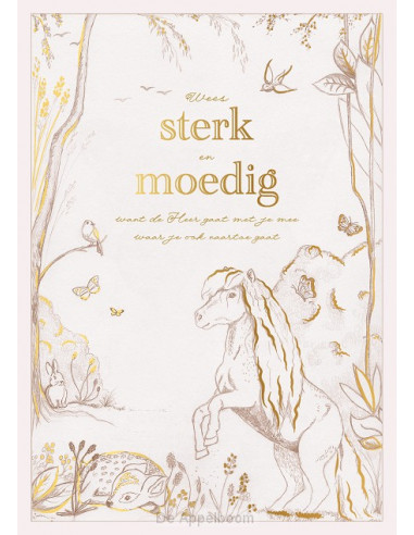 Wees sterk en moedig