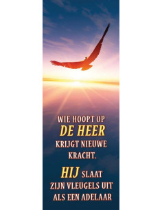 Wie hoopt op de Heer