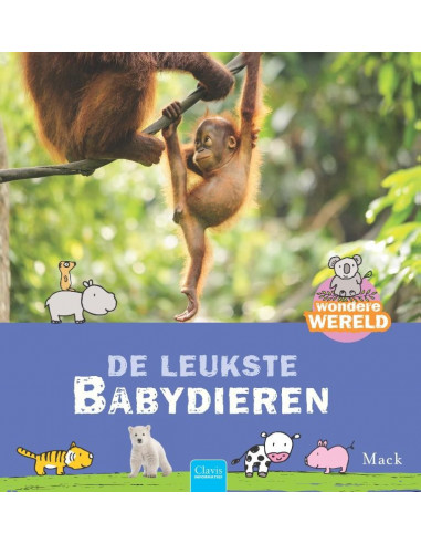 De leukste babydieren