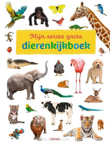 Mijn eerste grote dierenkijkboek