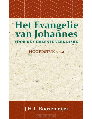 Het Evangelie van Johannes voor de Gemee