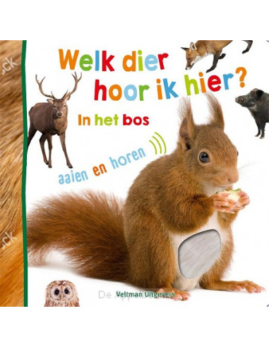 Welk dier hoor ik hier? - in het bos