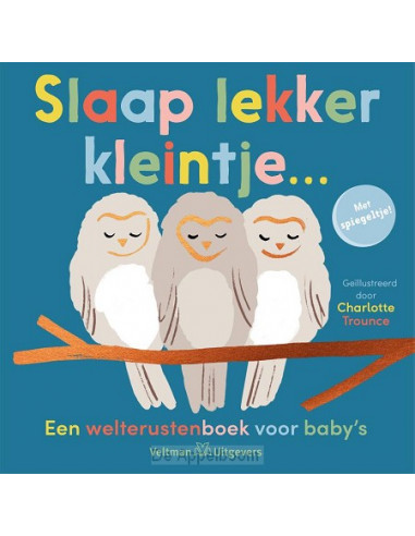 Slaap lekker kleintje...