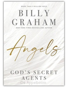 Angels : God?s Secret Agents