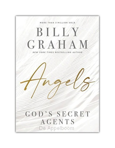 Angels : God?s Secret Agents