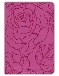 NLT - Premium Compact...