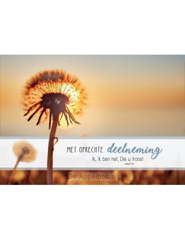 Deelneming m/t