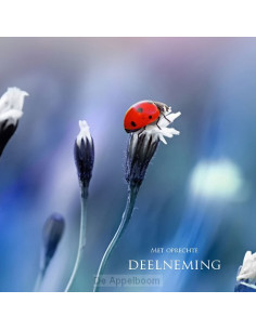 Kaart lieveheersbeestje