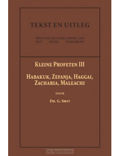 De Kleine Profeten III