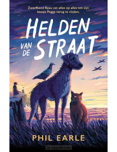 Helden van de straat