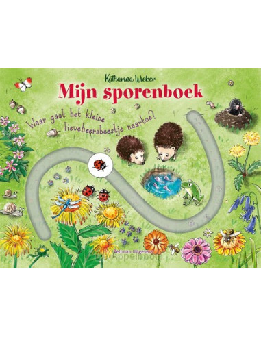 Mijn sporenboek - Waar gaat het kleine l