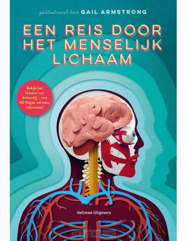 Een reis door het menselijk lichaam
