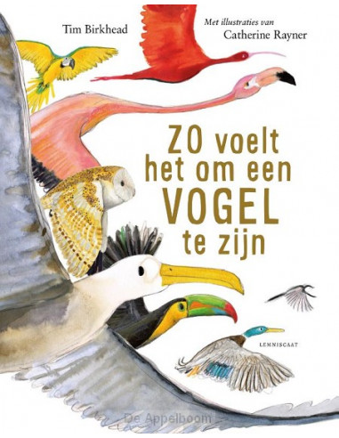 Zo voelt het om een vogel te zijn